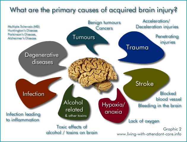 Living with Attendant Care: Acquired Brain injury : Causes