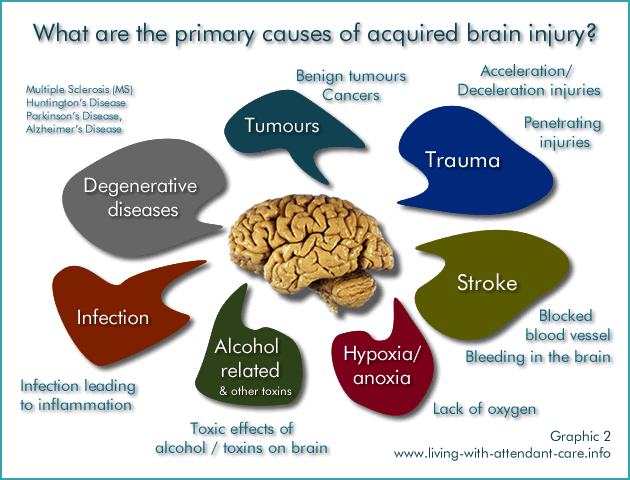 Graphic 2: What are the primary causes of acquired brain injury?