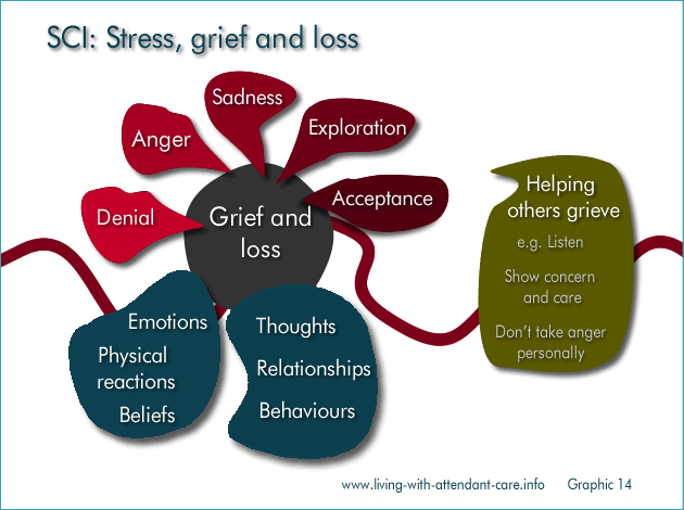 Cgraphic 14: 
SCI: Stress, grief and loss