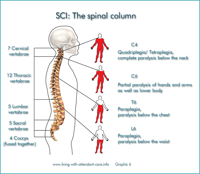 Asia Spinal Cord Injury Chart