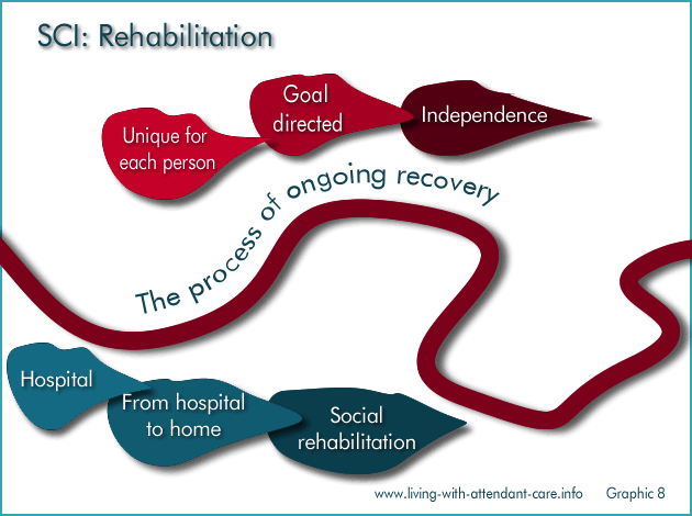 Graphic 8:
SCI: Rehabilitation